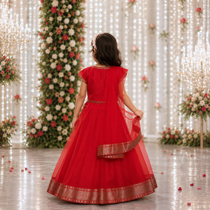Red Organza Lehenga