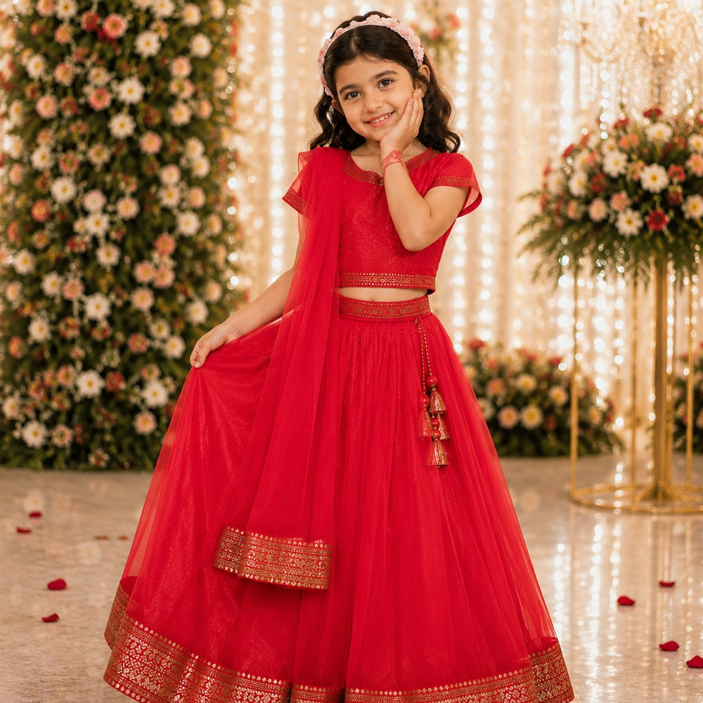 Lehenga Choli